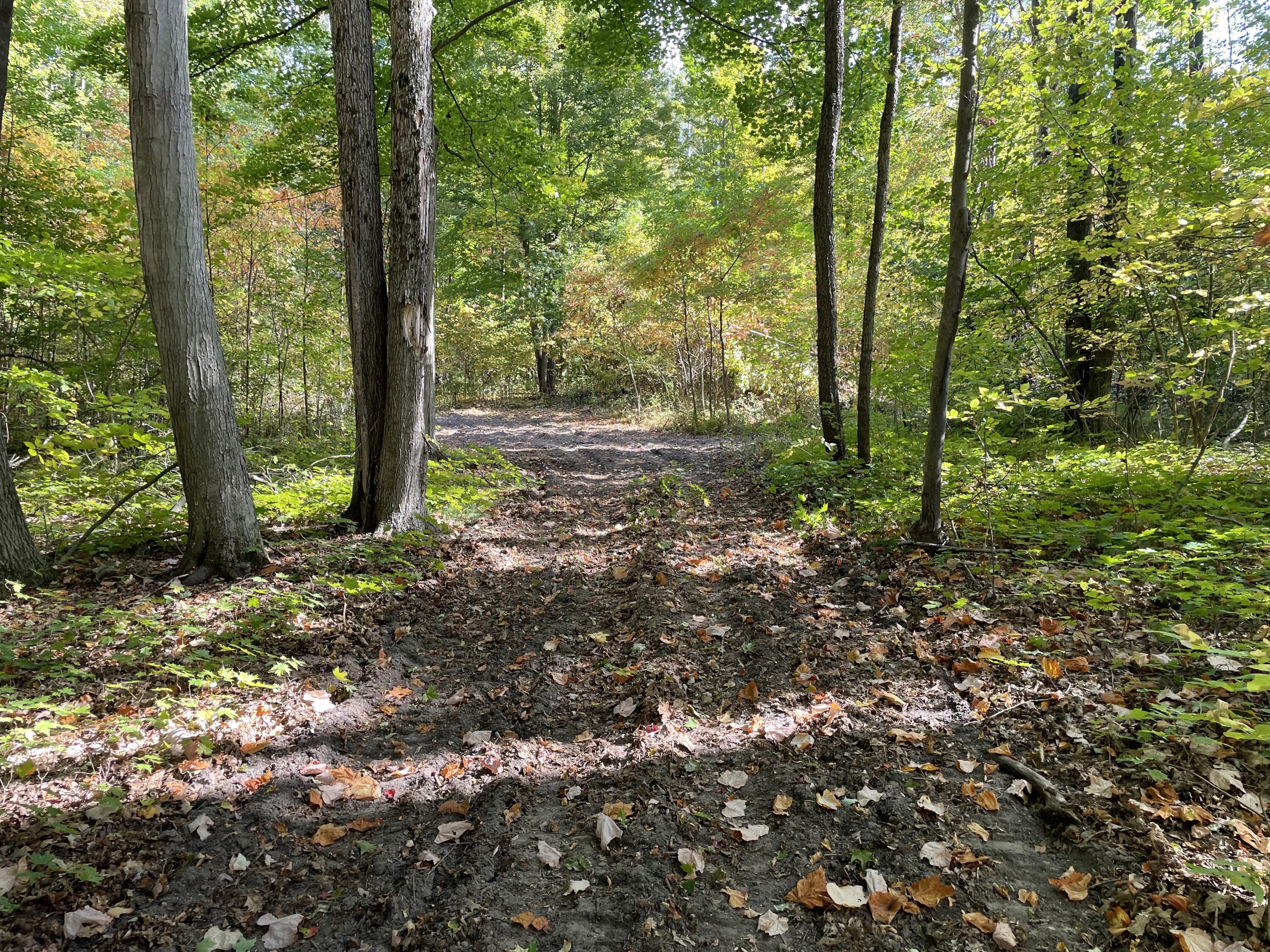 2195 20 Mile Road Northwest Kent City, MI 49330 - Photo 62 of 94 IMG_3535