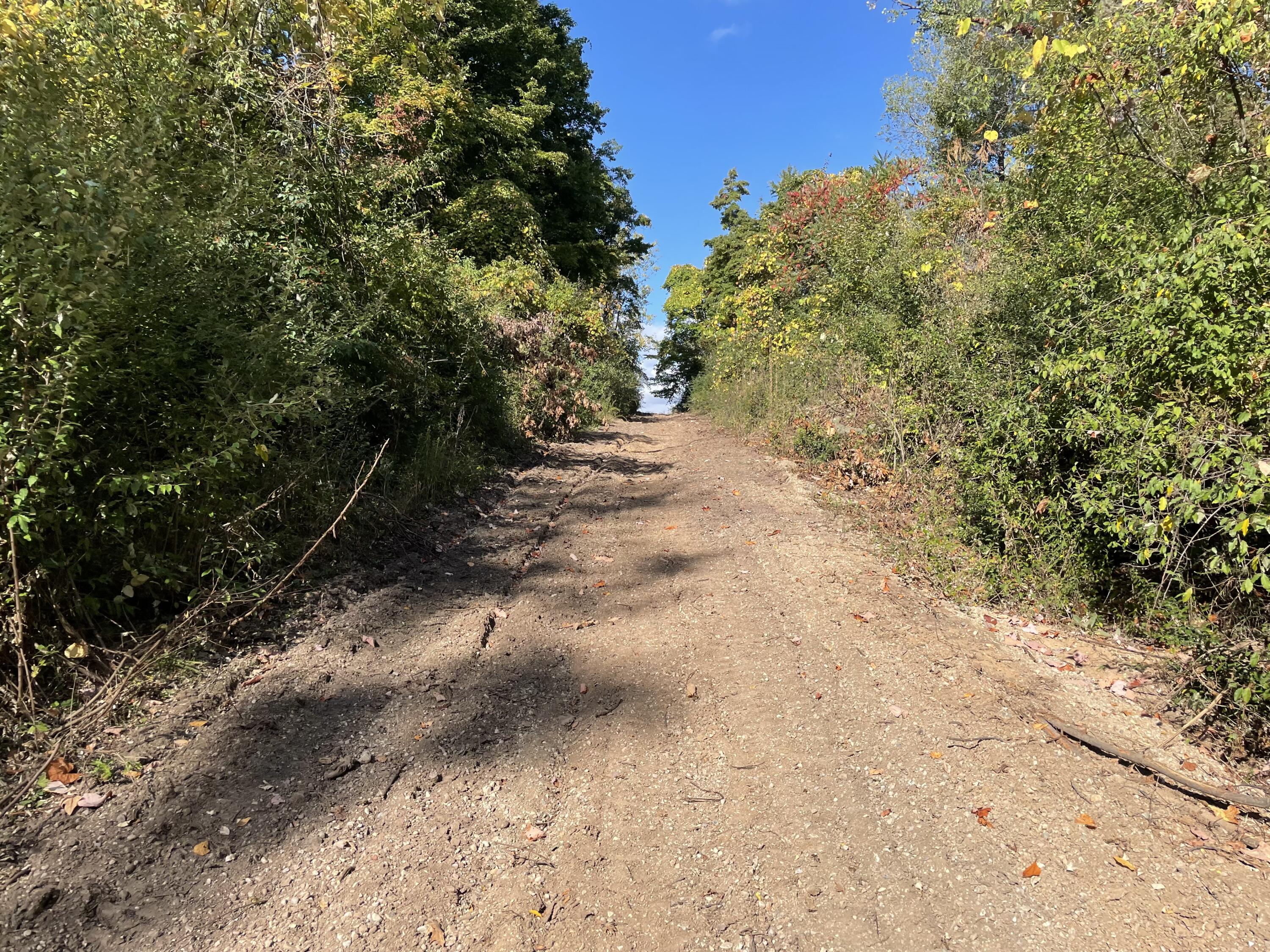 2195 20 Mile Road Northwest Kent City, MI 49330 - Photo 63 of 94 IMG_3536