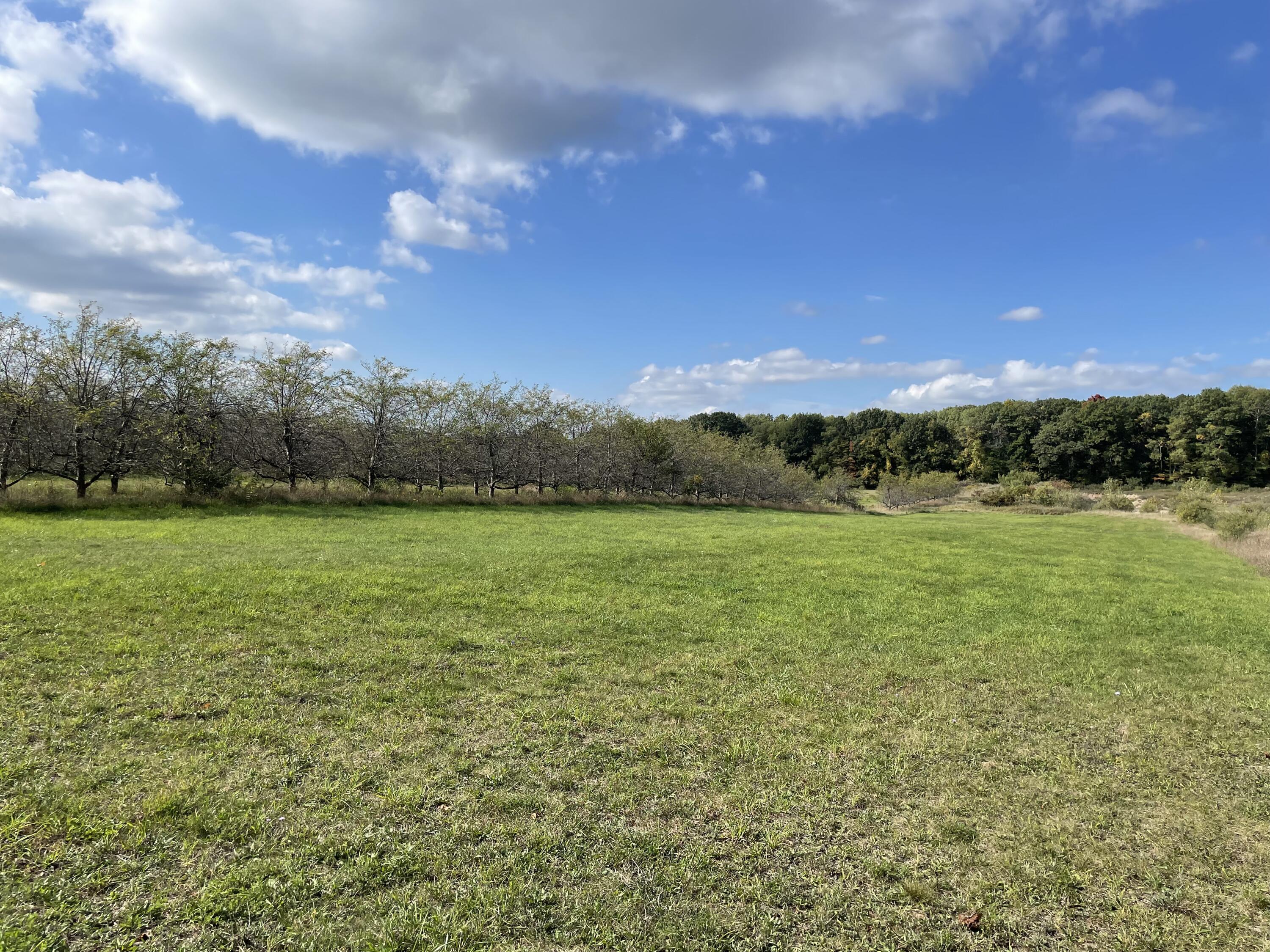 2195 20 Mile Road Northwest Kent City, MI 49330 - Photo 64 of 94 IMG_3538