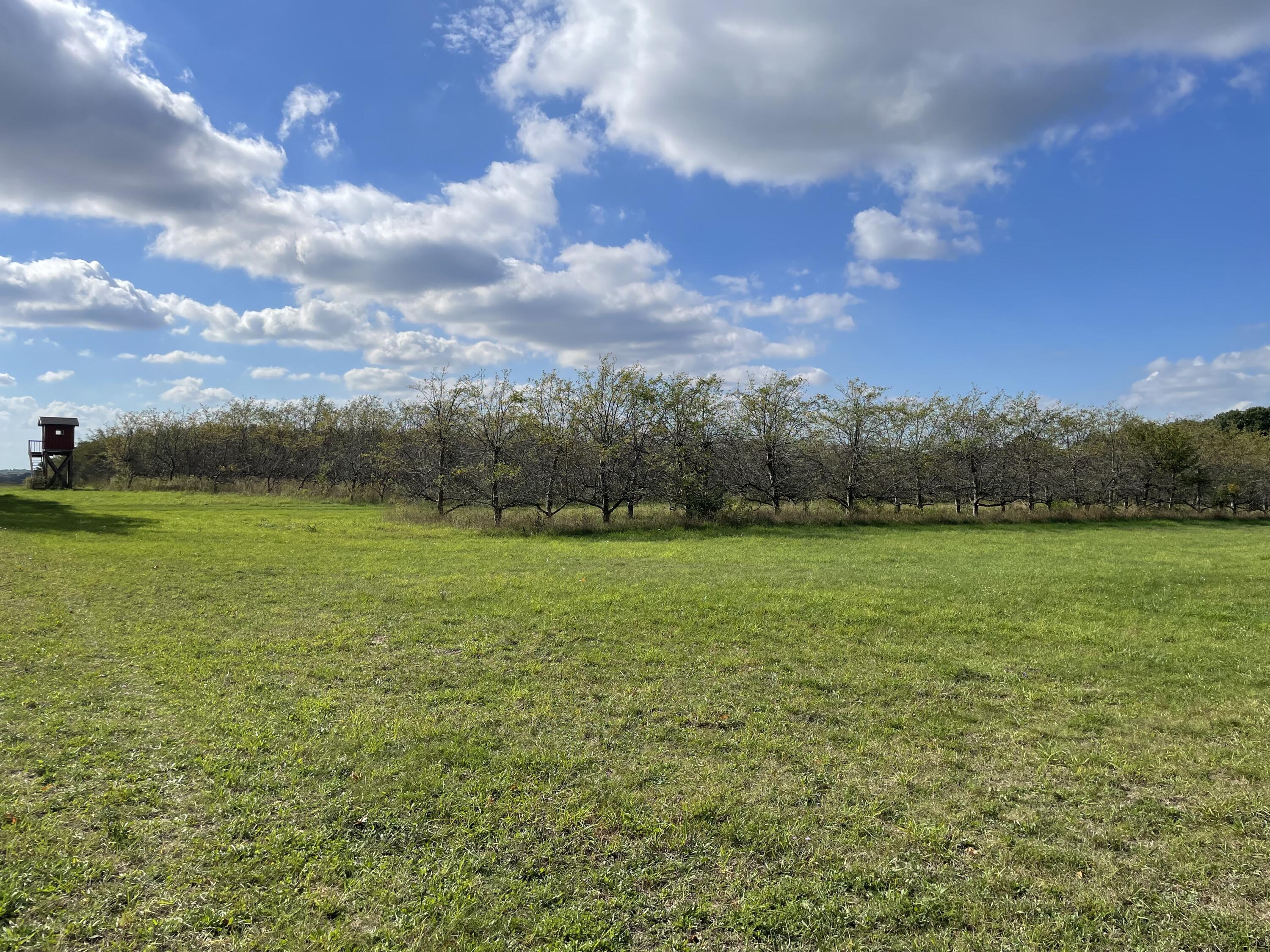 2195 20 Mile Road Northwest Kent City, MI 49330 - Photo 65 of 94 IMG_3539