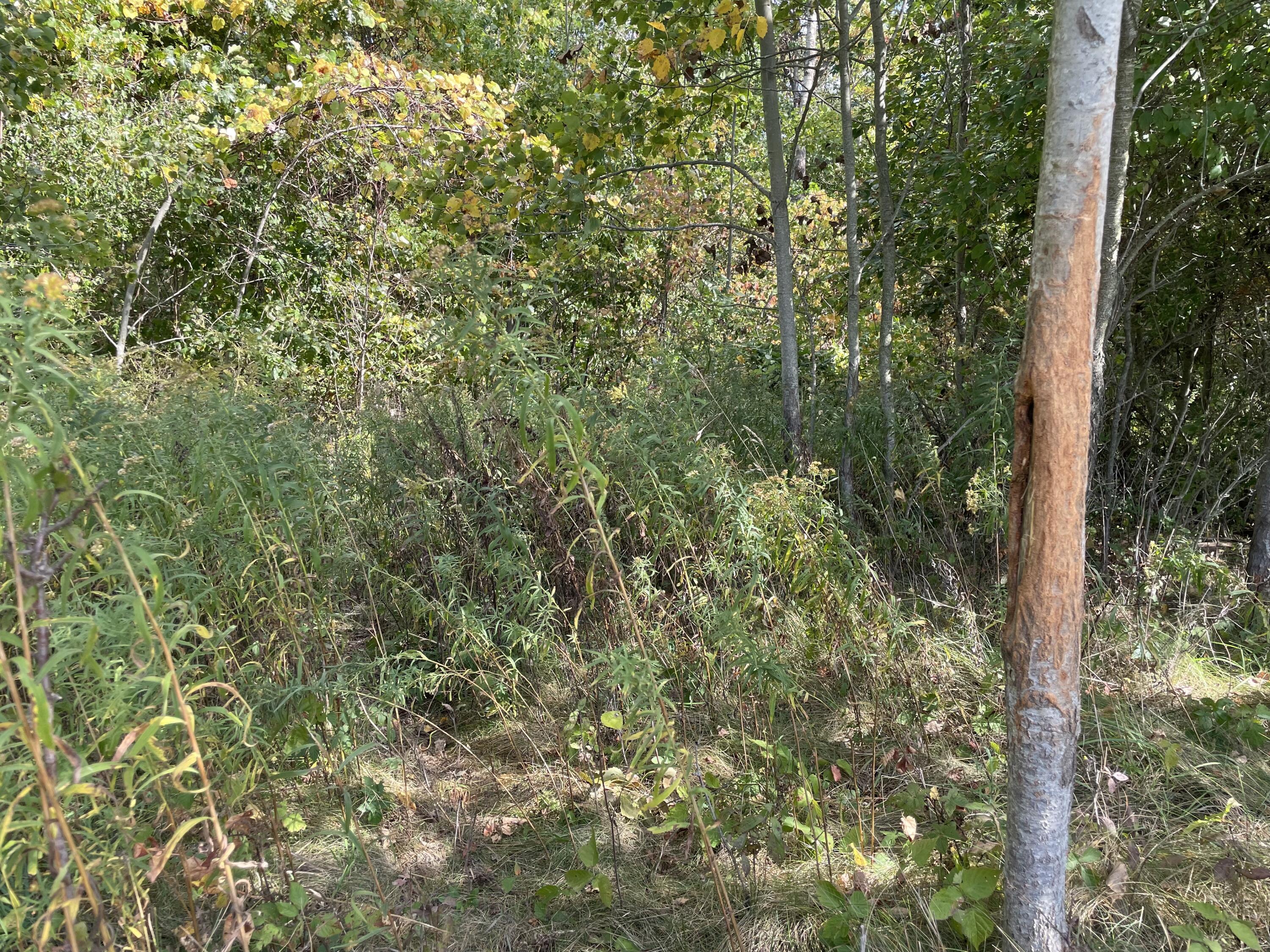 2195 20 Mile Road Northwest Kent City, MI 49330 - Photo 71 of 94 IMG_3545 2