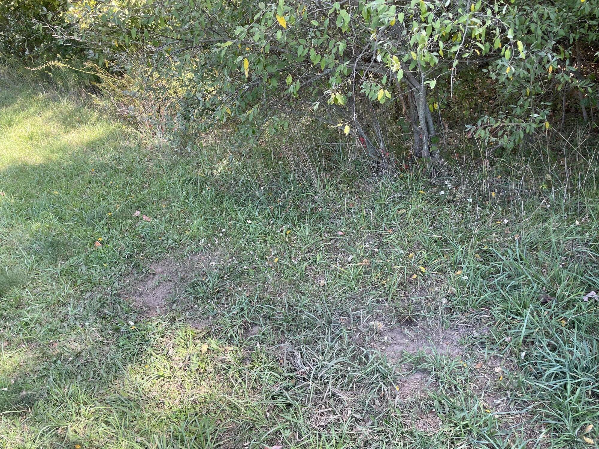 2195 20 Mile Road Northwest Kent City, MI 49330 - Photo 74 of 94 IMG_3549