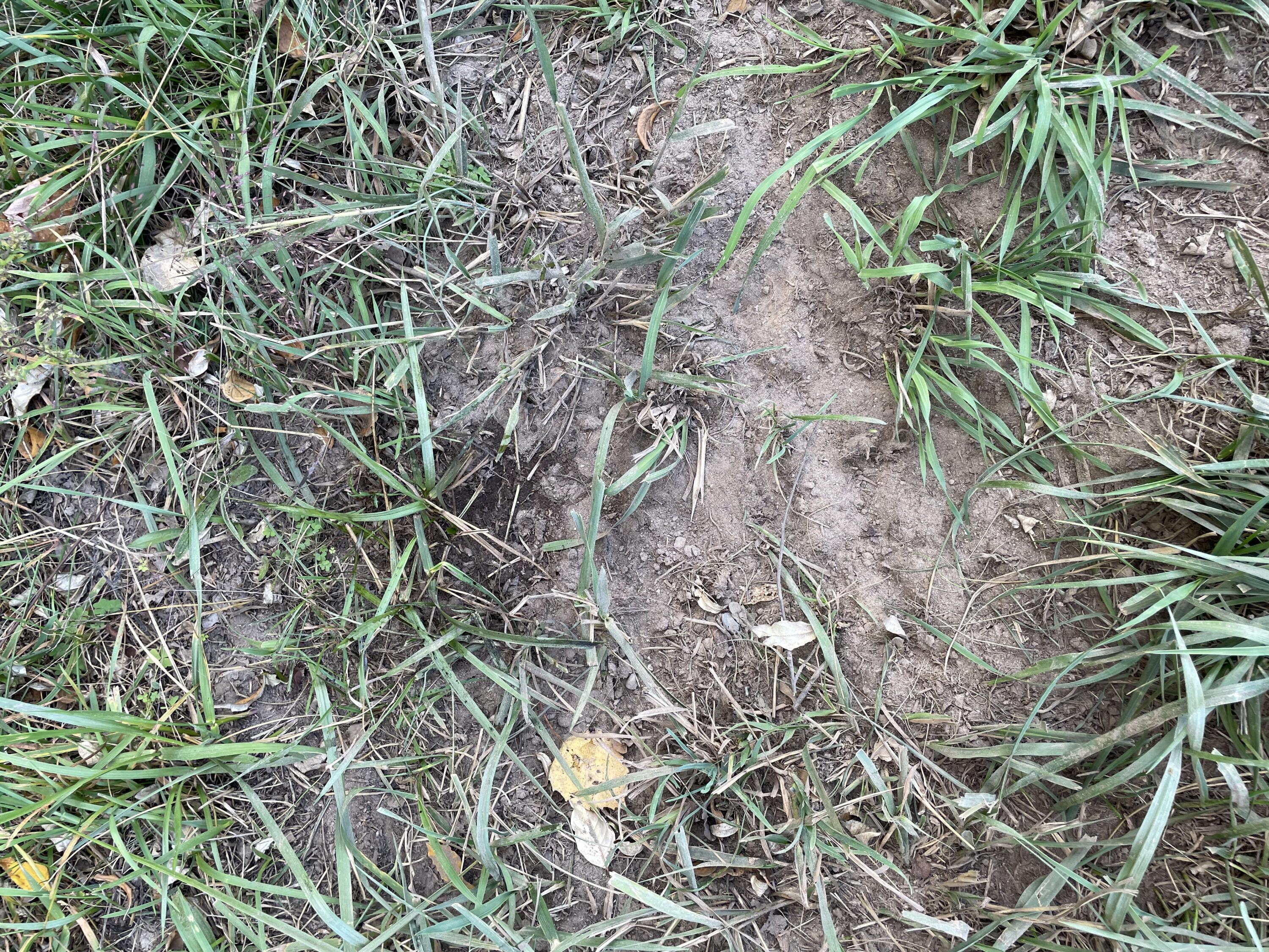 2195 20 Mile Road Northwest Kent City, MI 49330 - Photo 75 of 94 IMG_3550