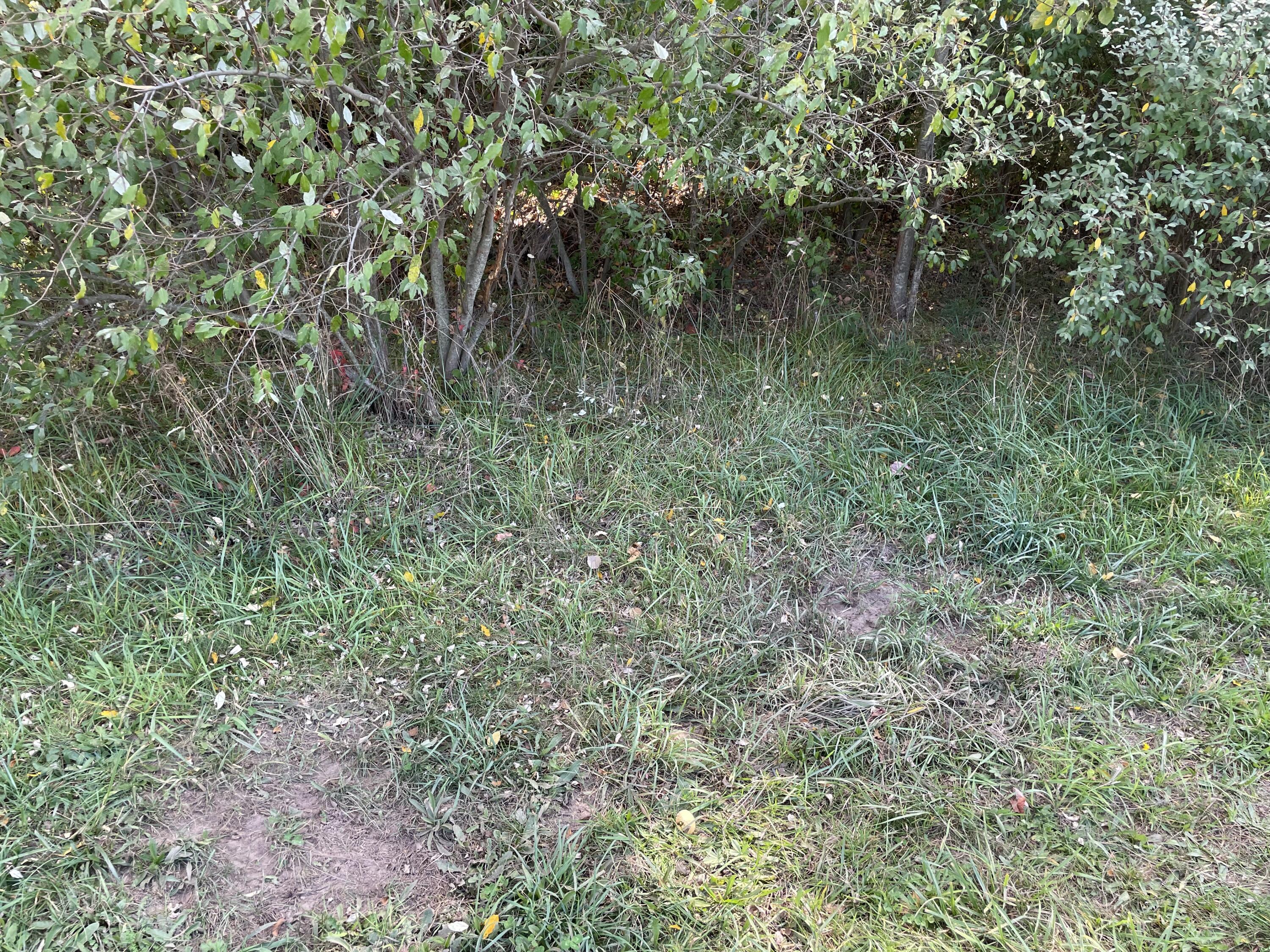 2195 20 Mile Road Northwest Kent City, MI 49330 - Photo 76 of 94 IMG_3551