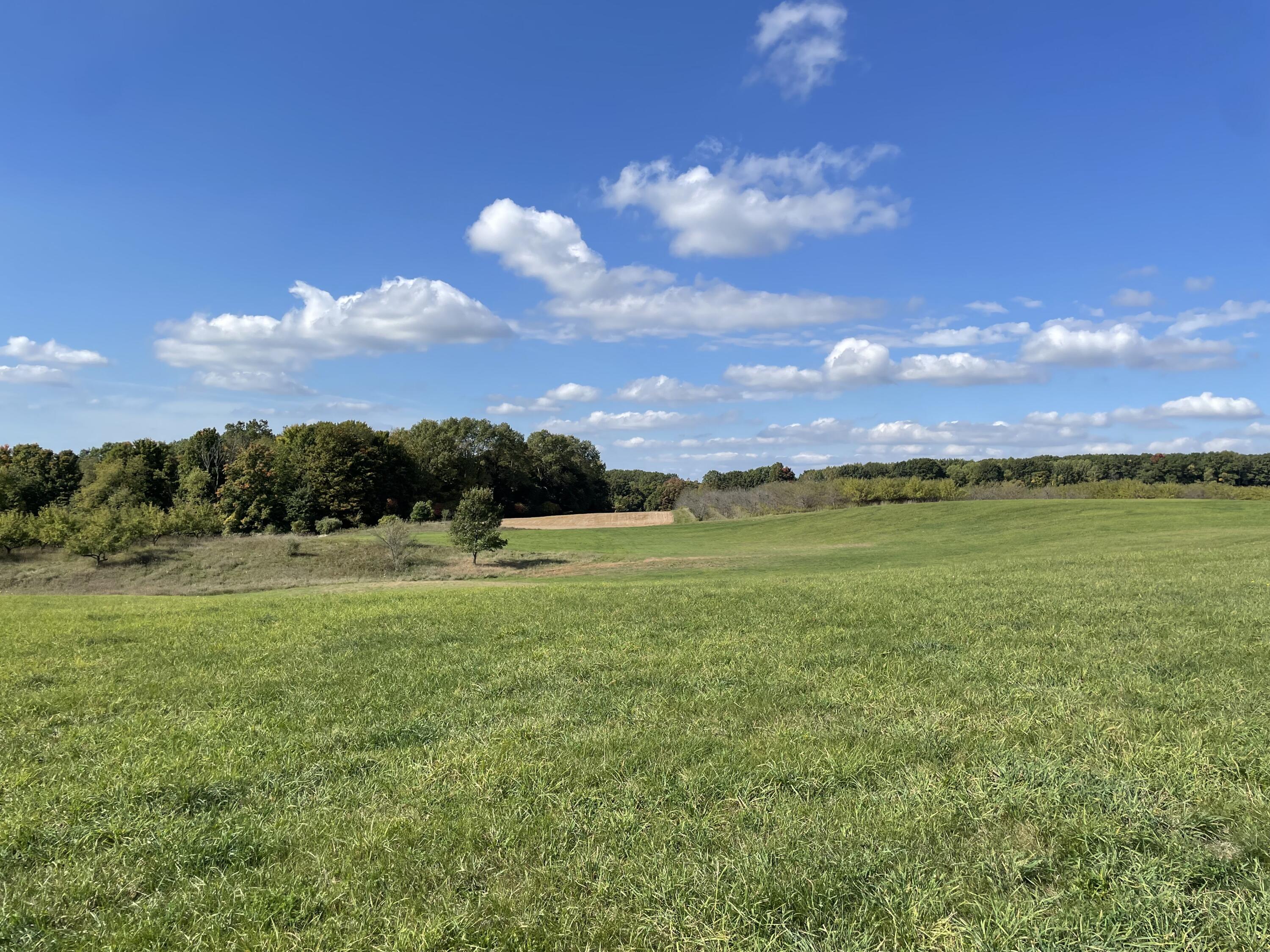 2195 20 Mile Road Northwest Kent City, MI 49330 - Photo 77 of 94 IMG_3552
