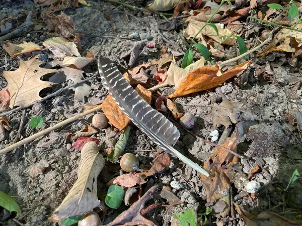 $1,400,000 | 2195 20 Mile Road Northwest, Kent City, MI 49330