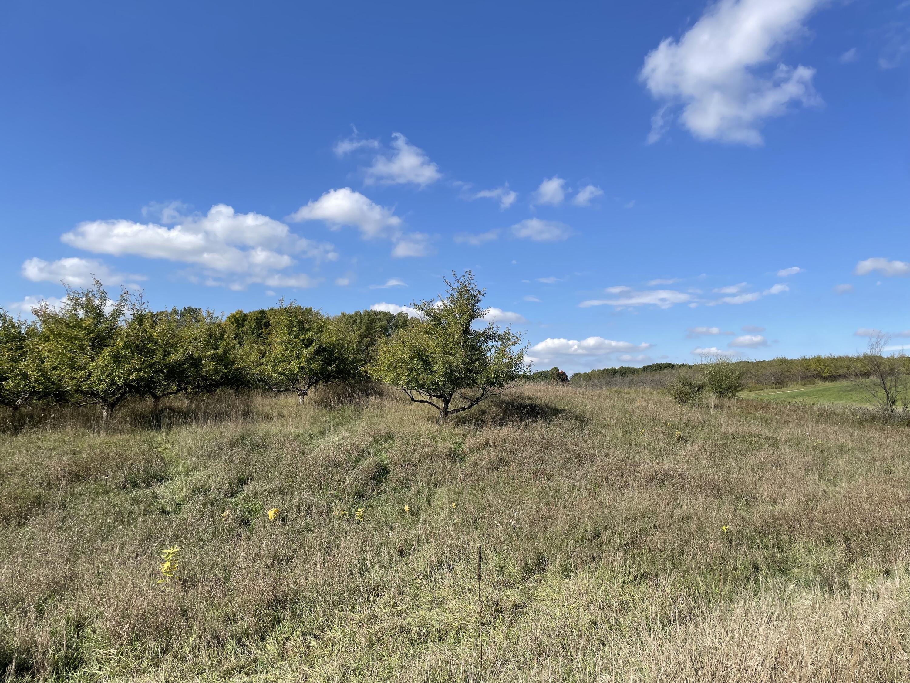 2195 20 Mile Road Northwest Kent City, MI 49330 - Photo 81 of 94 IMG_3556