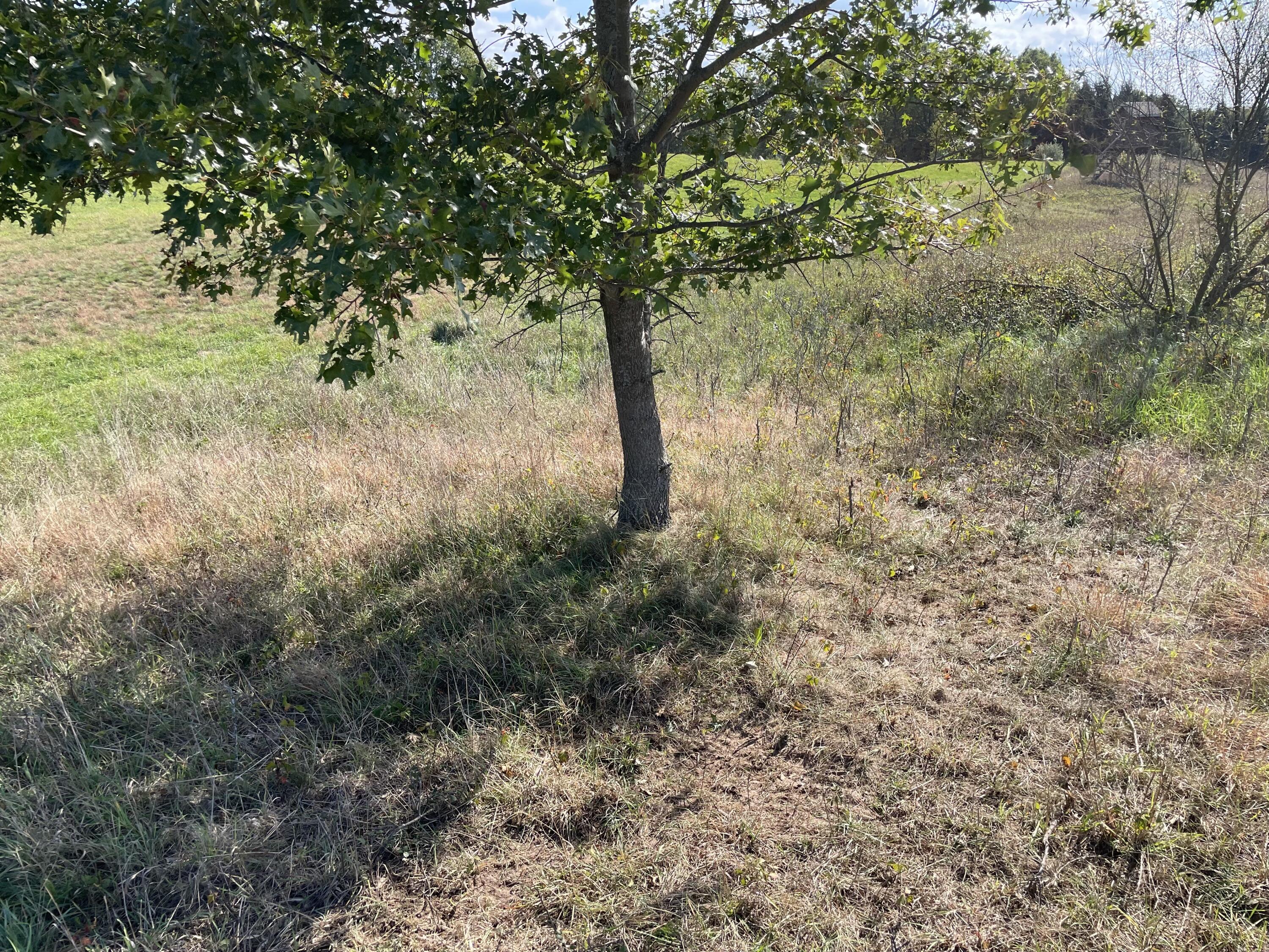 2195 20 Mile Road Northwest Kent City, MI 49330 - Photo 82 of 94 IMG_3557