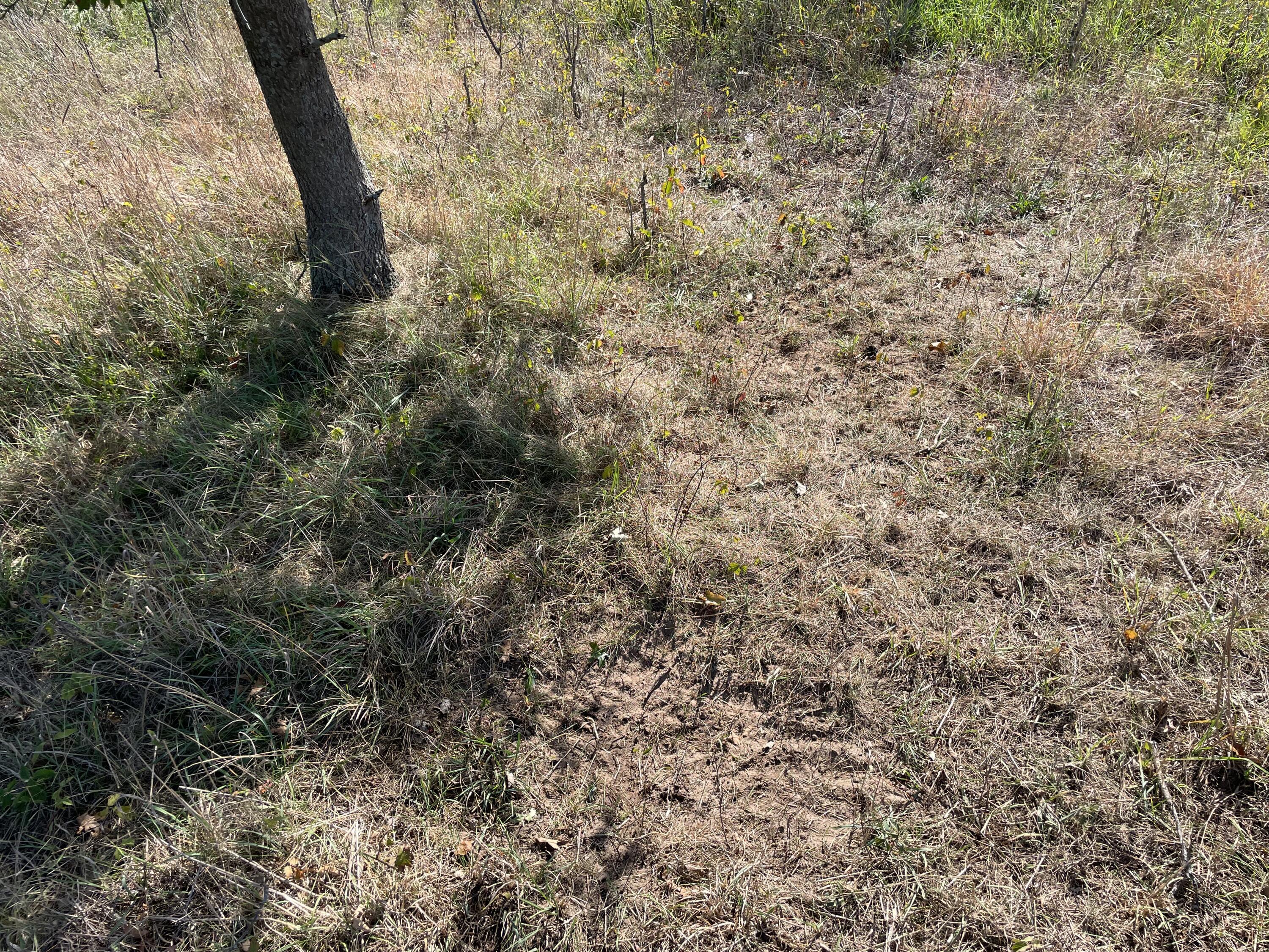 2195 20 Mile Road Northwest Kent City, MI 49330 - Photo 83 of 94 IMG_3558