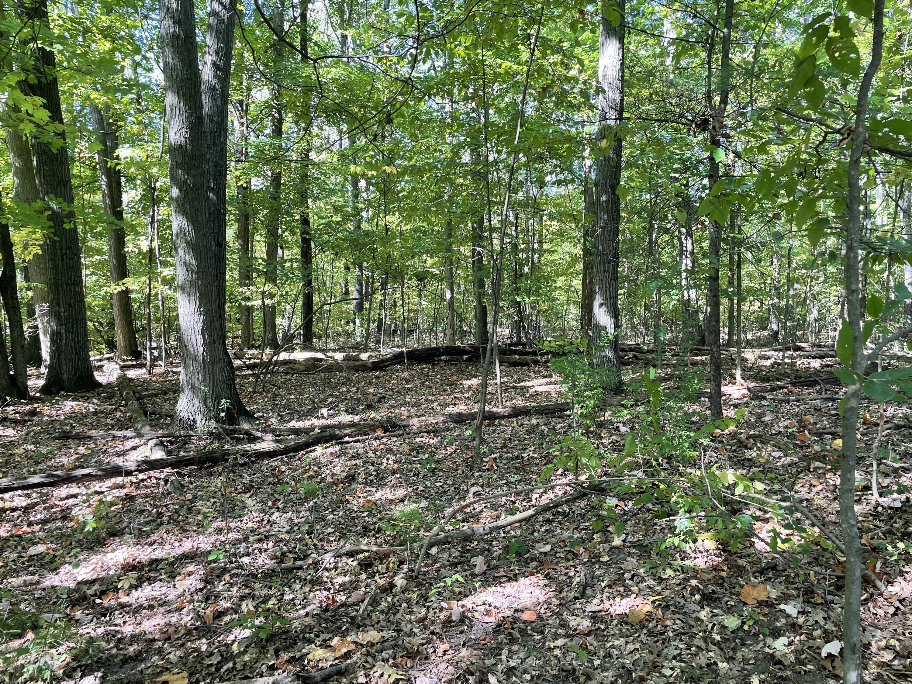 2195 20 Mile Road Northwest Kent City, MI 49330 - Photo 87 of 94 IMG_3563