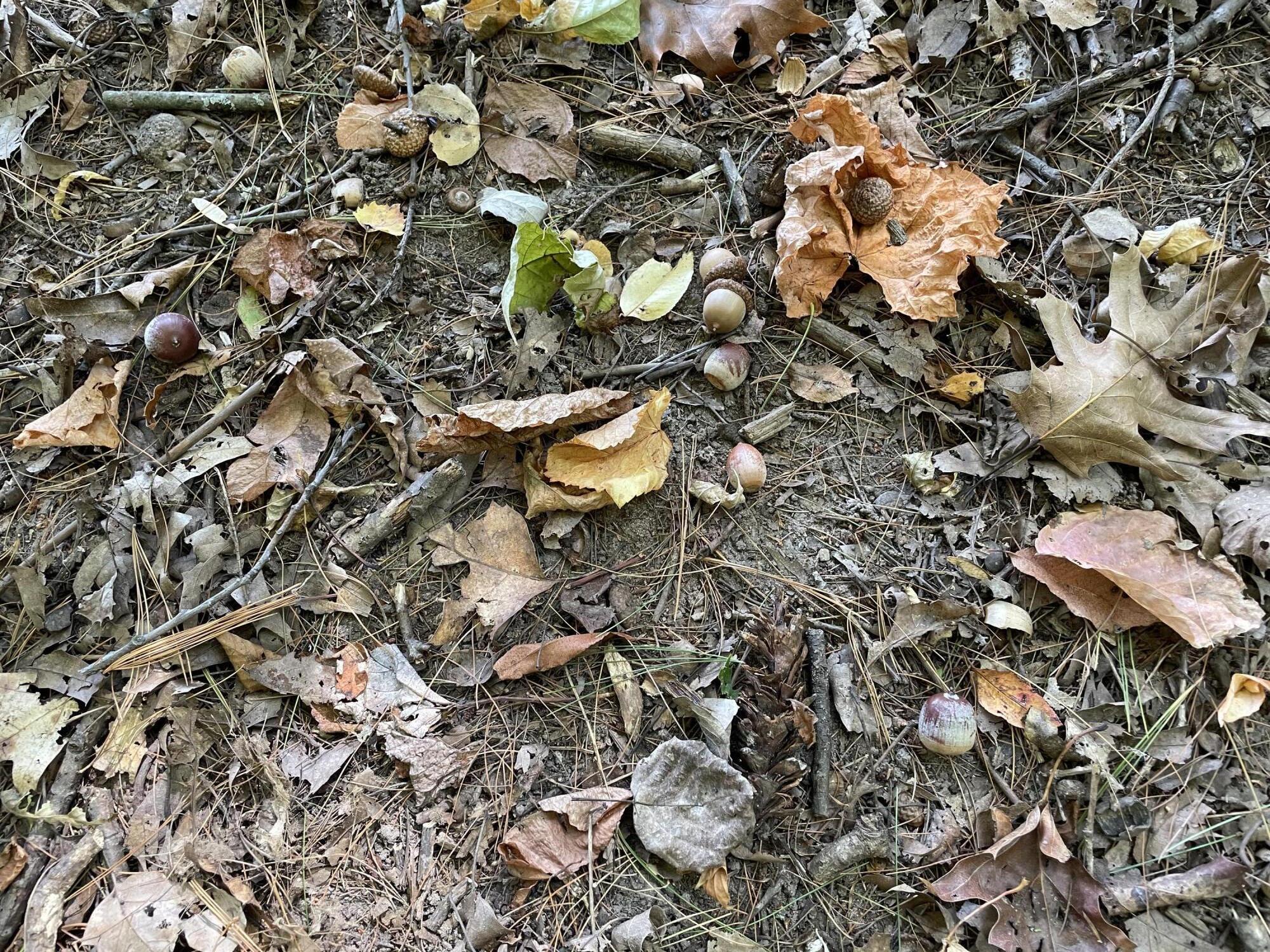 2195 20 Mile Road Northwest Kent City, MI 49330 - Photo 88 of 94 IMG_3564