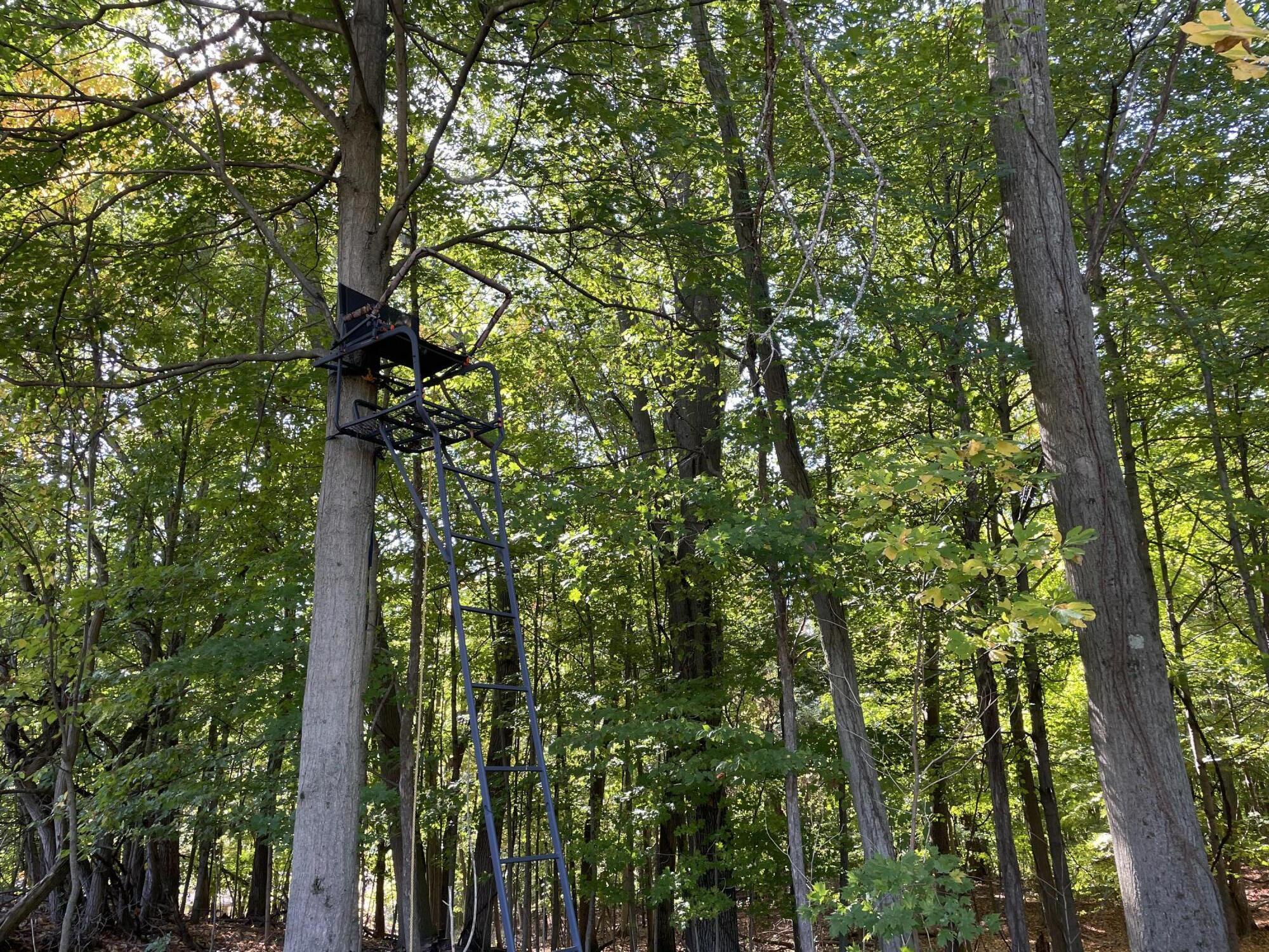 2195 20 Mile Road Northwest Kent City, MI 49330 - Photo 90 of 94 IMG_3566