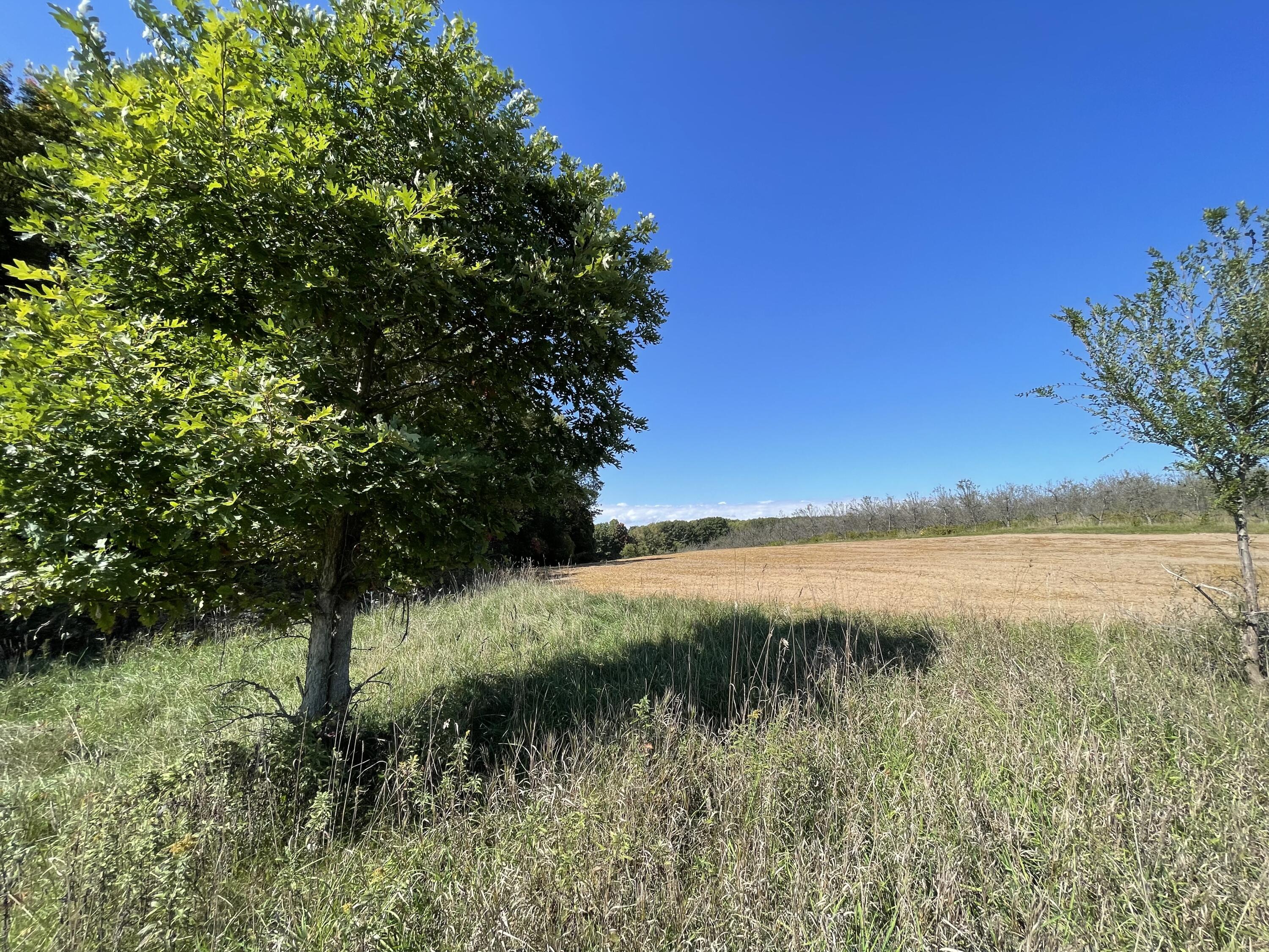 2195 20 Mile Road Northwest Kent City, MI 49330 - Photo 91 of 94 IMG_3569
