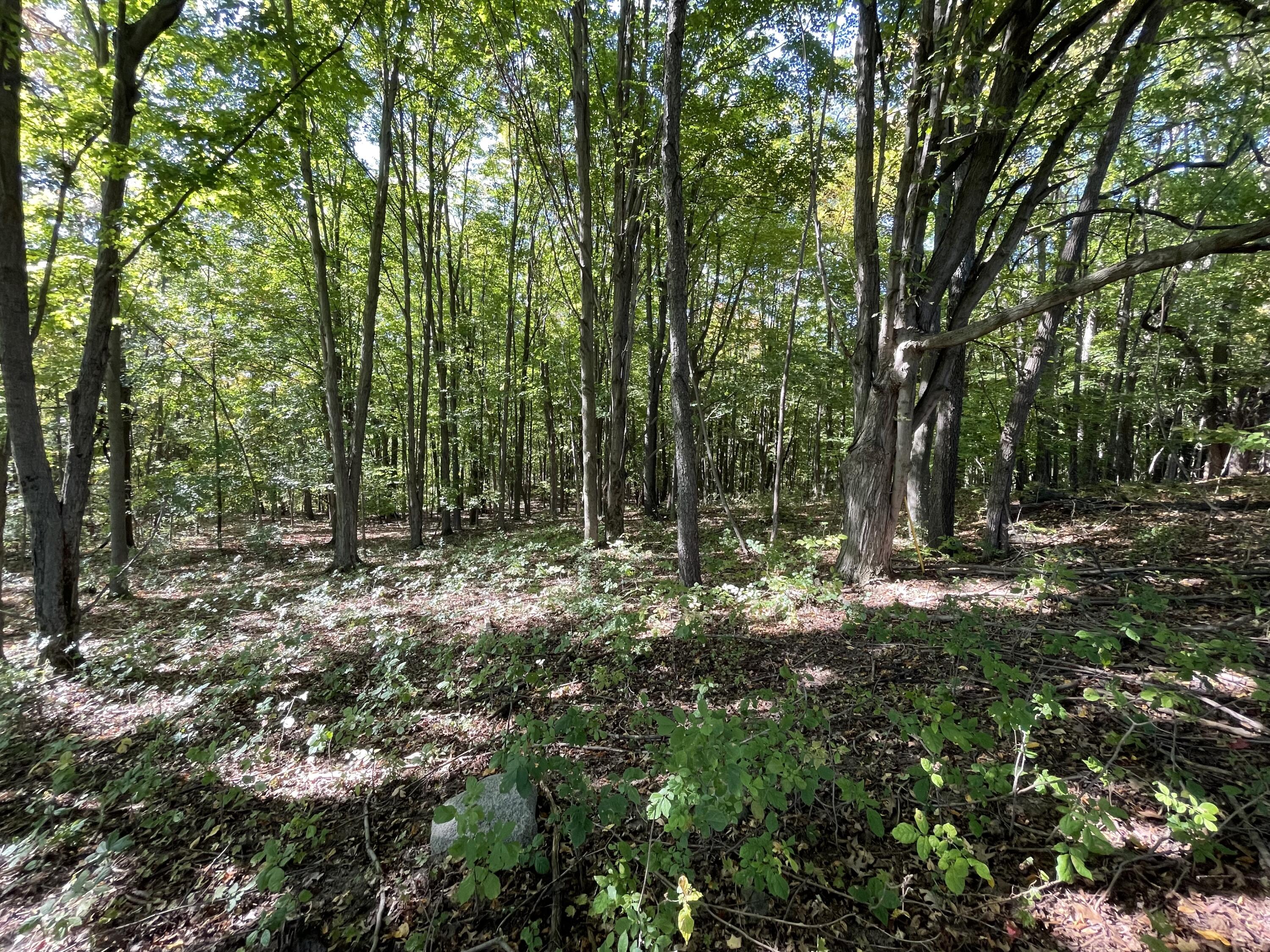 2195 20 Mile Road Northwest Kent City, MI 49330 - Photo 92 of 94 IMG_3570