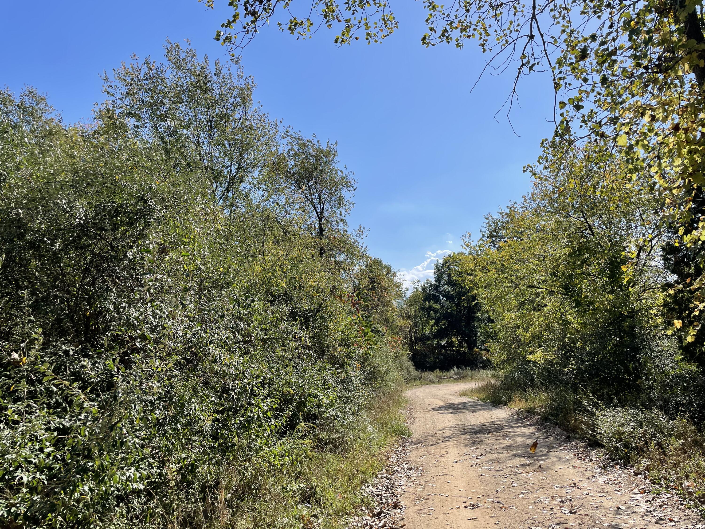 2195 20 Mile Road Northwest Kent City, MI 49330 - Photo 93 of 94 IMG_3571