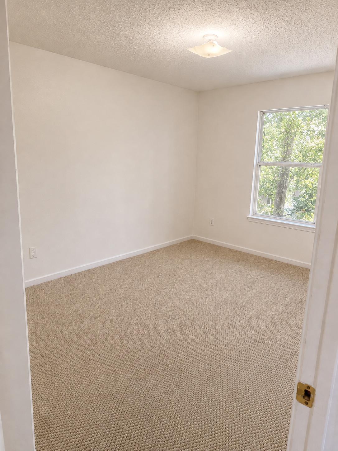 5260 Collins Road, Unit 308 Jacksonville, FL 32244 - Photo 13 of 20 IMG-20260826-WA0083