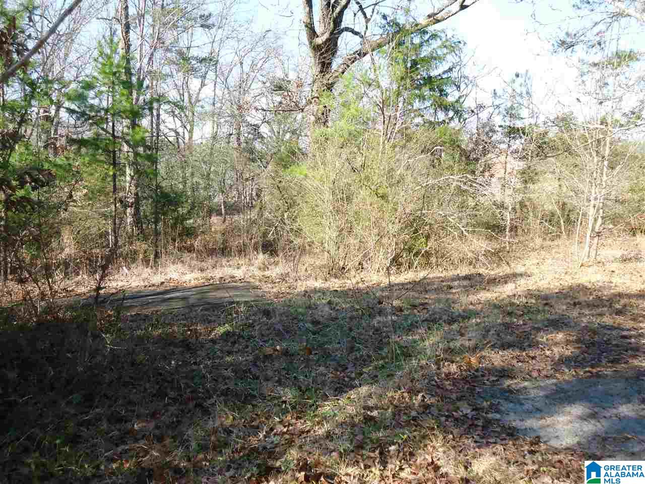 4401 Hicks Road, Unit 1 Pinson, AL 35126 - Photo 4 of 5