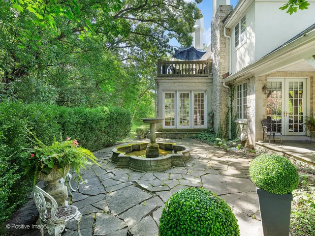 a view of field with tall trees