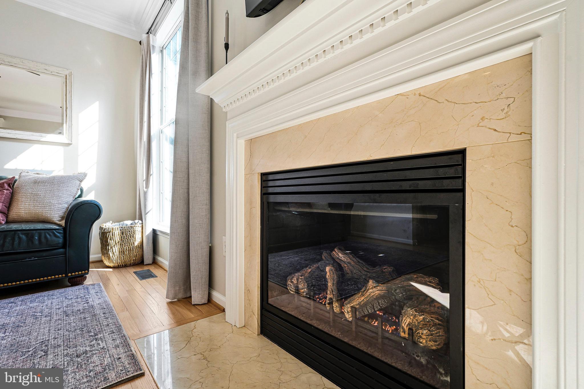 20876 Trinity Square Sterling, VA 20165 - Photo 21 of 50 a living room with furniture and a fireplace
