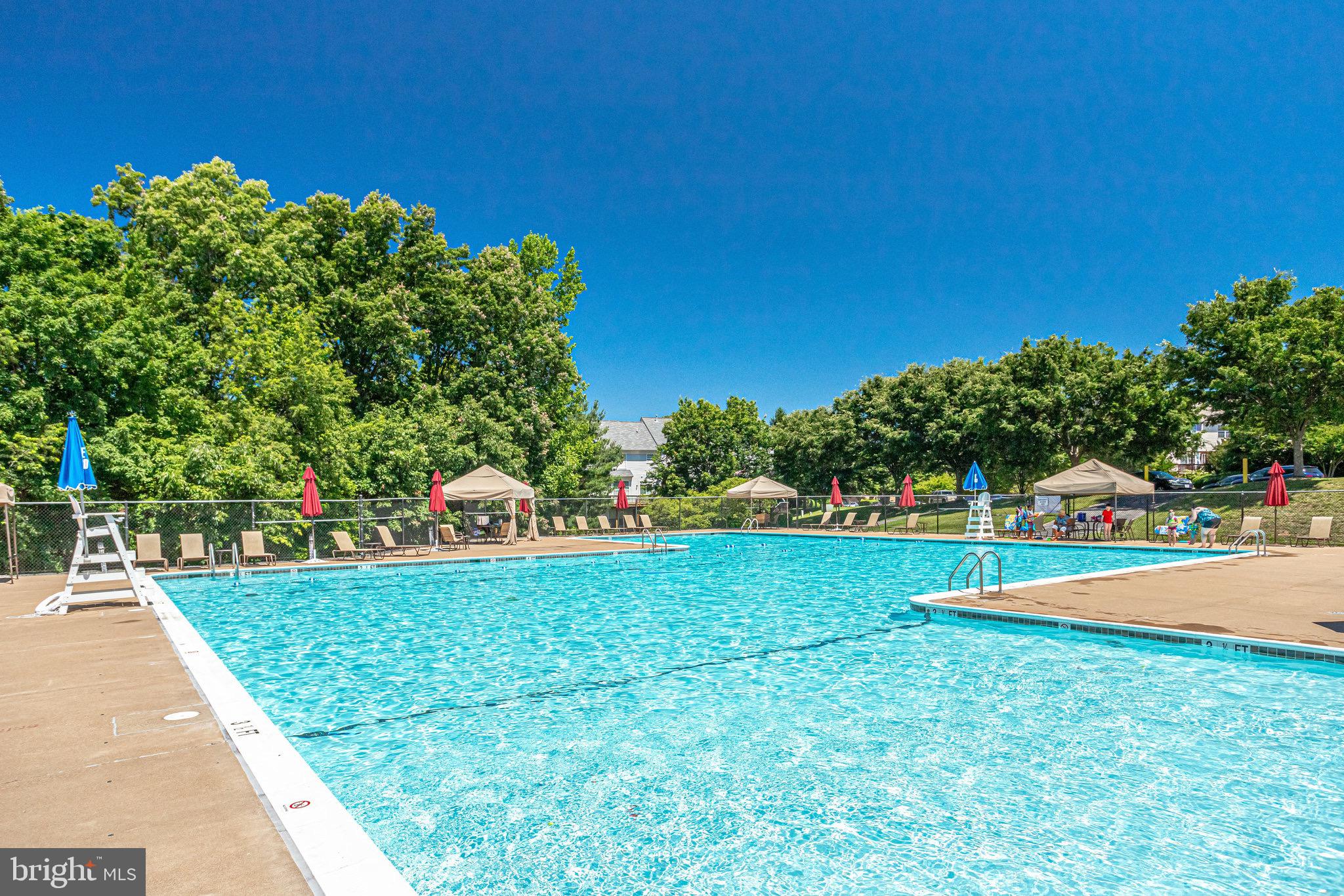 20876 Trinity Square Sterling, VA 20165 - Photo 48 of 50 a view of a park with large trees