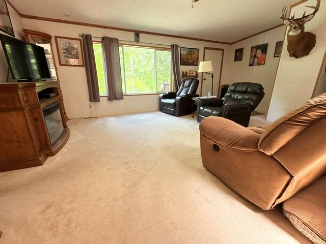 24353 Hines Road Northeast Hines, MN 56647 - Photo 11 of 22