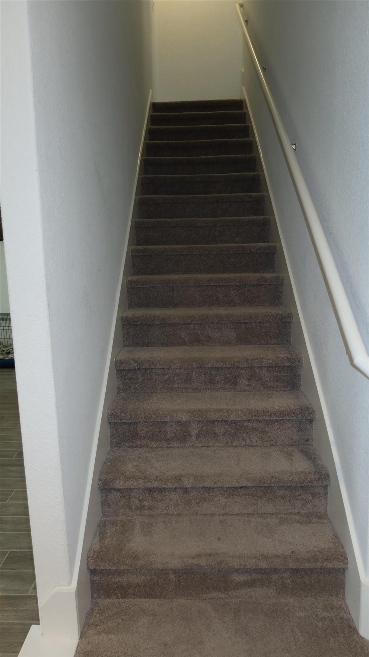 620 Acuff Lane Leander, TX 78641 - Photo 10 of 14 Carpeted staircase with a white handrail and base trim