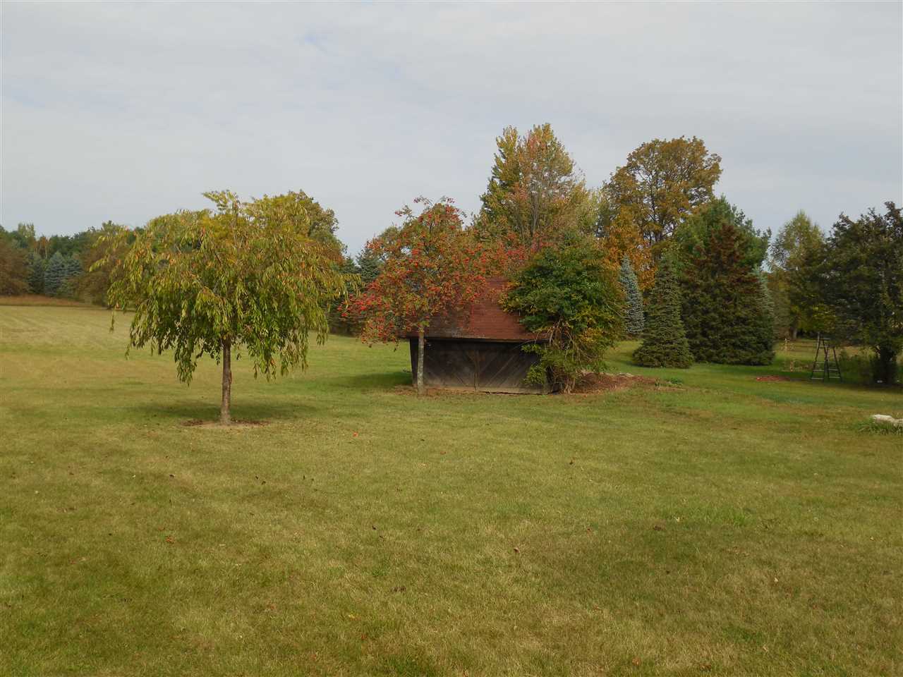 9455 Busch Road Birch Run, MI 48415 - Photo 19 of 82