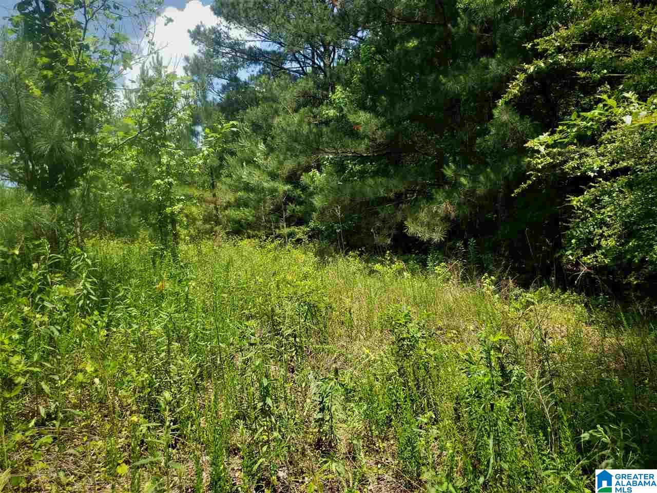 Burton Loop Road, Unit 1 Altoona, AL 35952 - Photo 6 of 10