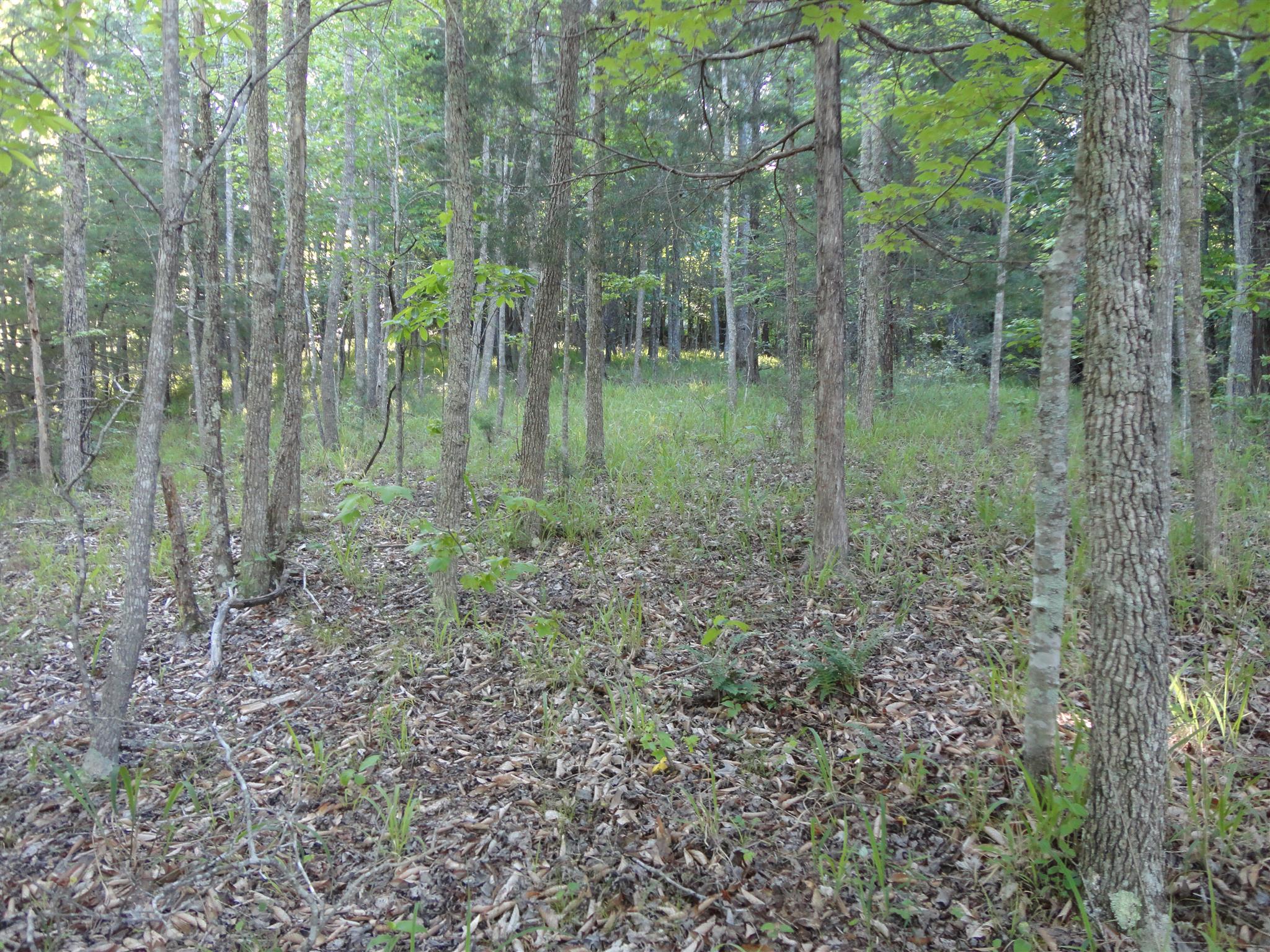 331 Spring Circle Smithville, TN 37166 - Photo 11 of 12 Gallery Image 11