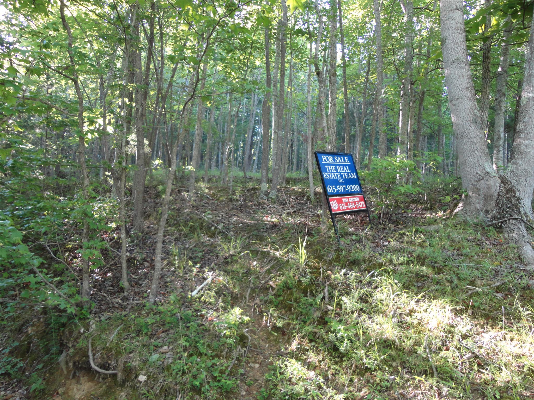 331 Spring Circle Smithville, TN 37166 - Photo 7 of 12 Private area of Four Seasons
