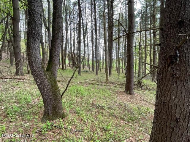 154 County Rte 60 Cambridge, NY 12816 - Photo 1 of 22 Co Rt 60