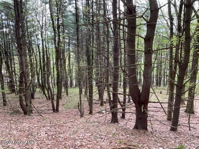 154 County Rte 60 Cambridge, NY 12816 - Photo 11 of 22 IMG_6647