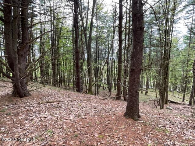 154 County Rte 60 Cambridge, NY 12816 - Photo 13 of 22 IMG_6652