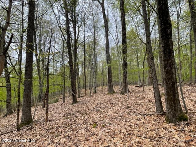 154 County Rte 60 Cambridge, NY 12816 - Photo 17 of 22 IMG_6656