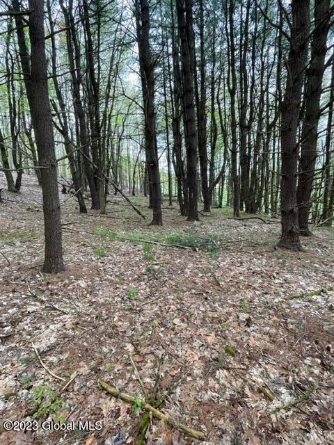 154 County Rte 60 Cambridge, NY 12816 - Photo 19 of 22 IMG_6657