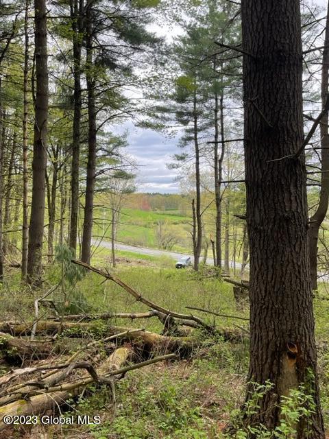 154 County Rte 60 Cambridge, NY 12816 - Photo 2 of 22 IMG_6660