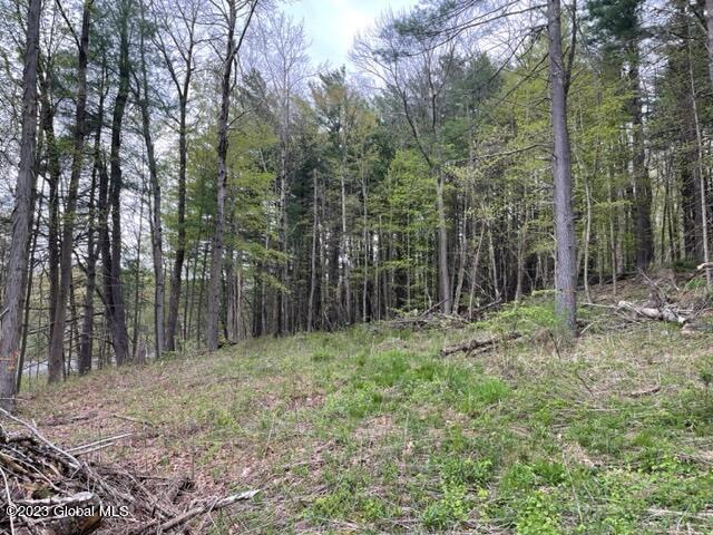154 County Rte 60 Cambridge, NY 12816 - Photo 3 of 22 IMG_6639