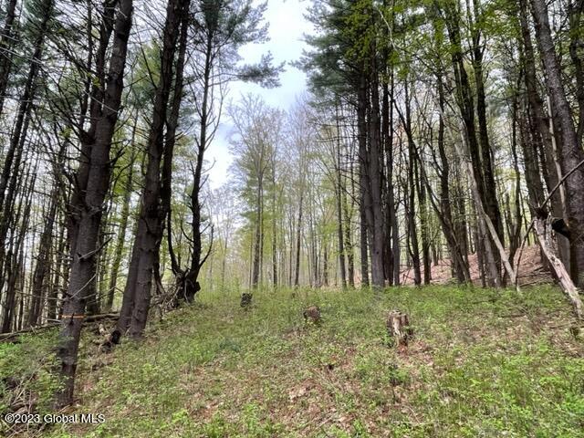 154 County Rte 60 Cambridge, NY 12816 - Photo 6 of 22 IMG_6641