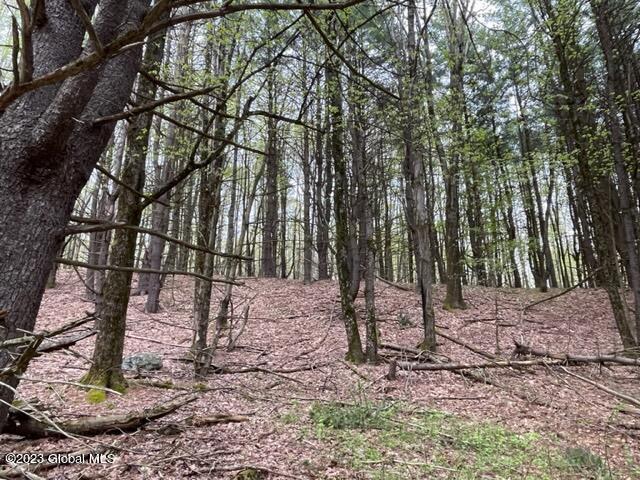 154 County Rte 60 Cambridge, NY 12816 - Photo 8 of 22 IMG_6644