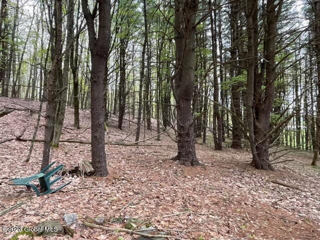154 County Rte 60 Cambridge, NY 12816 - Photo 9 of 22 IMG_6645