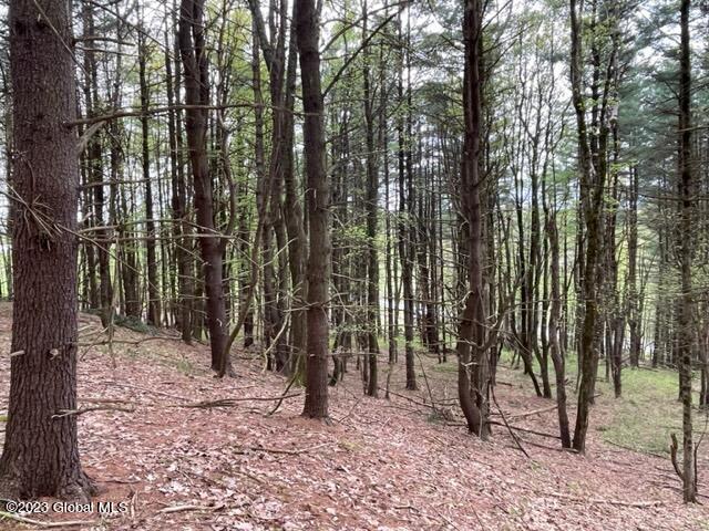 154 County Rte 60 Cambridge, NY 12816 - Photo 10 of 22 IMG_6646