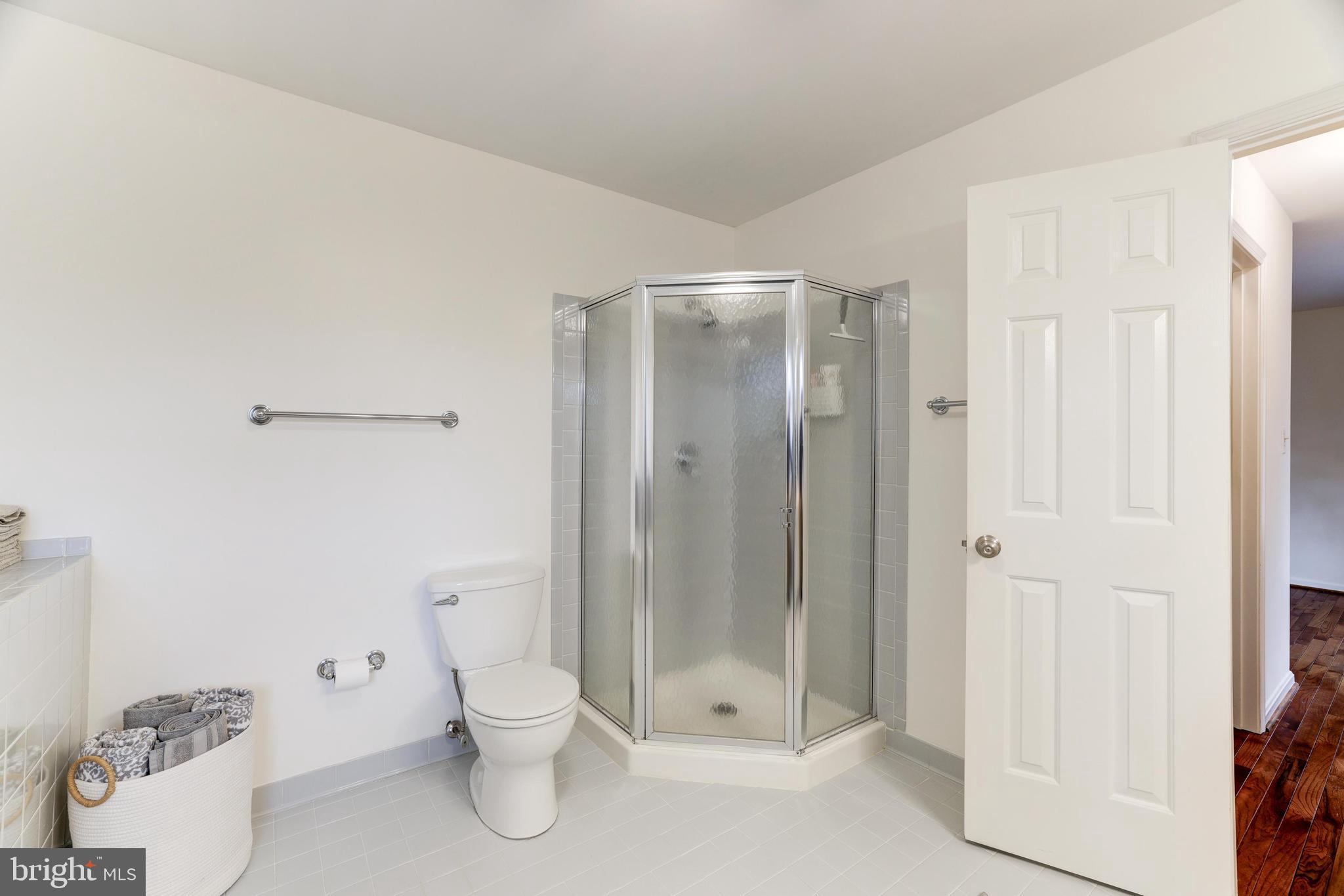 13221 Shady Ridge Lane Fairfax, VA 22033 - Photo 20 of 62 Separate Shower