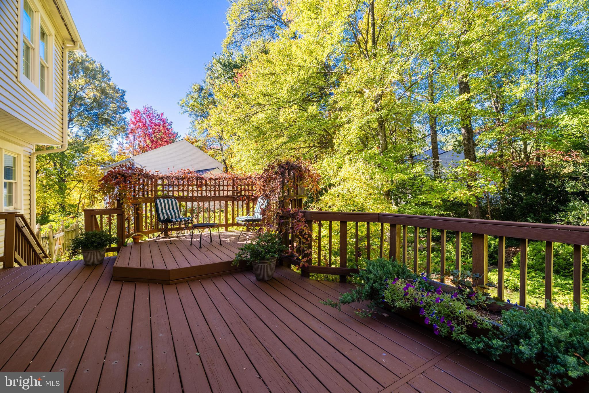 13221 Shady Ridge Lane Fairfax, VA 22033 - Photo 36 of 62 Fall View