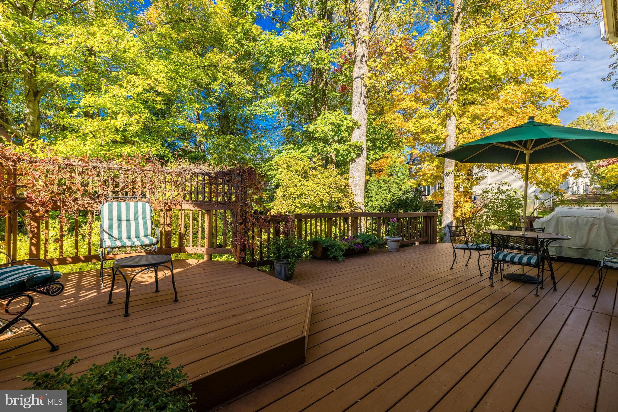 13221 Shady Ridge Lane Fairfax, VA 22033 - Photo 37 of 62 Fall View
