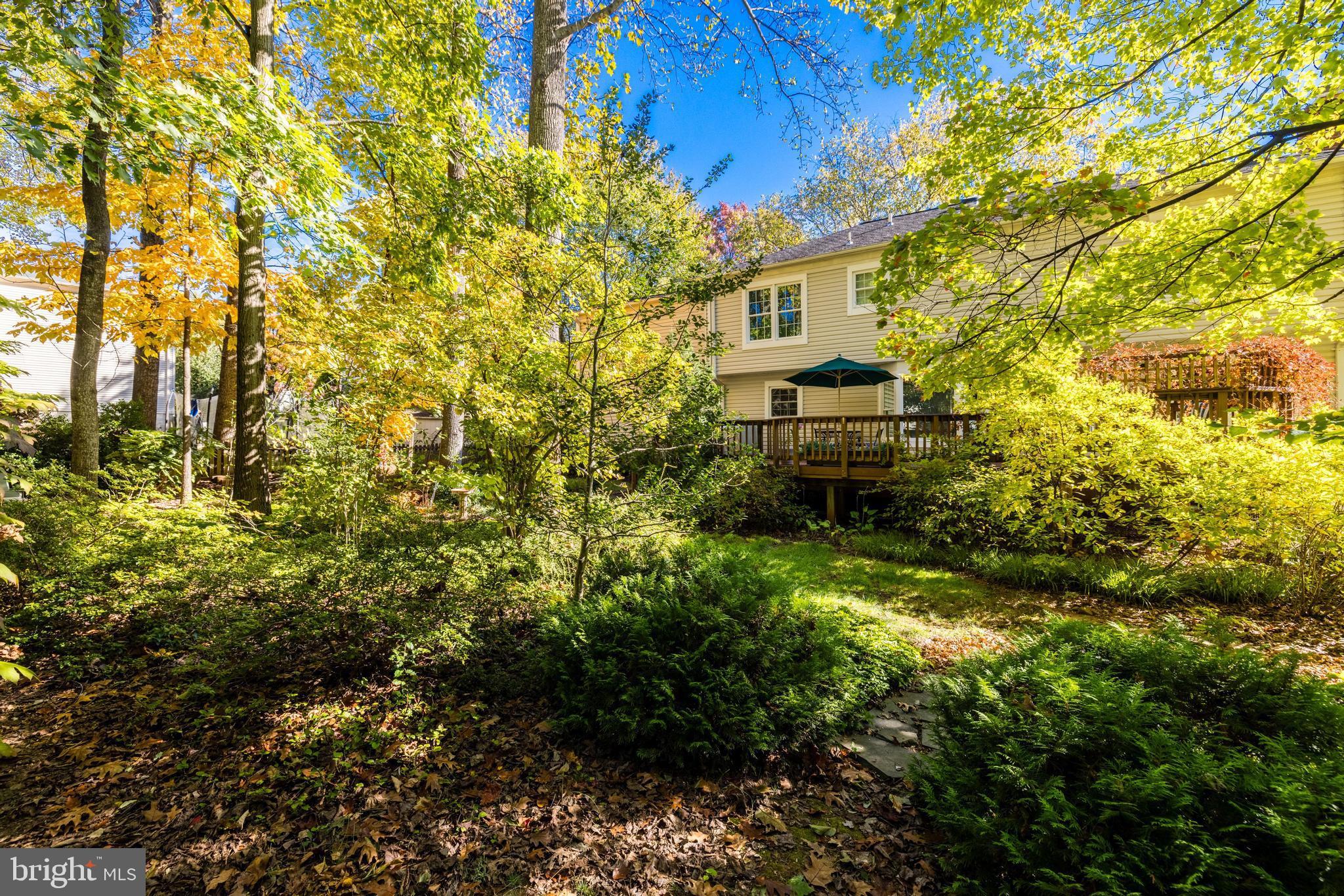 13221 Shady Ridge Lane Fairfax, VA 22033 - Photo 40 of 62 Rear View of Home in the Fall