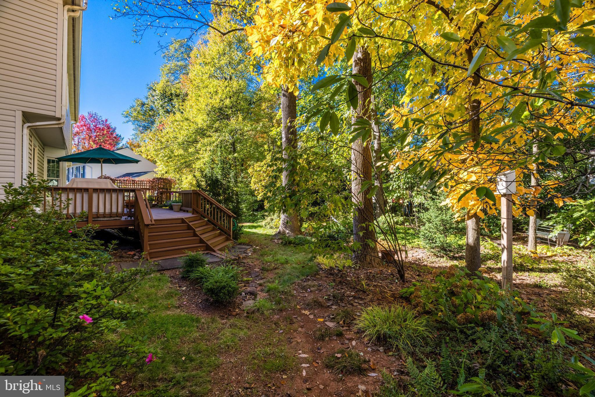 13221 Shady Ridge Lane Fairfax, VA 22033 - Photo 41 of 62 Private Back Yard