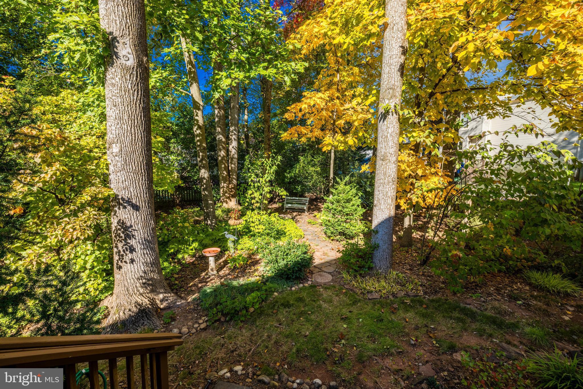 13221 Shady Ridge Lane Fairfax, VA 22033 - Photo 42 of 62 Fenced Back Yard