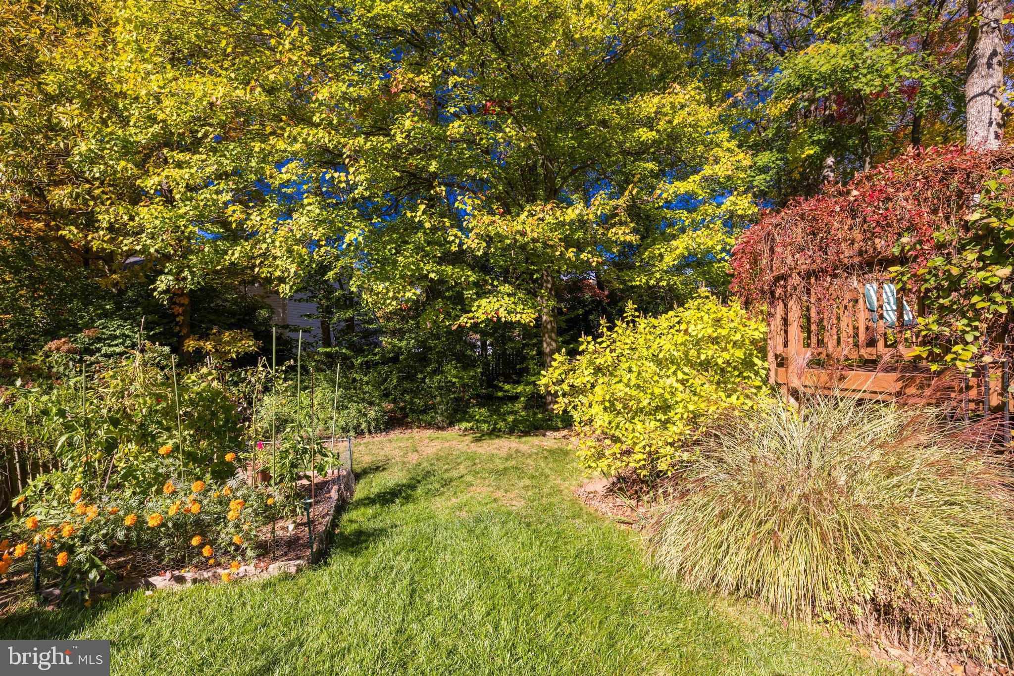 13221 Shady Ridge Lane Fairfax, VA 22033 - Photo 44 of 62 Lovingly Cared For Lawn