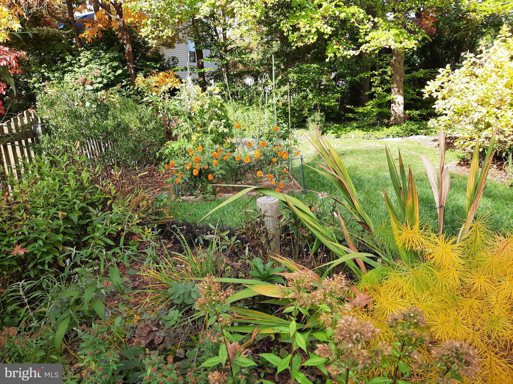 13221 Shady Ridge Lane Fairfax, VA 22033 - Photo 46 of 62 Yard View