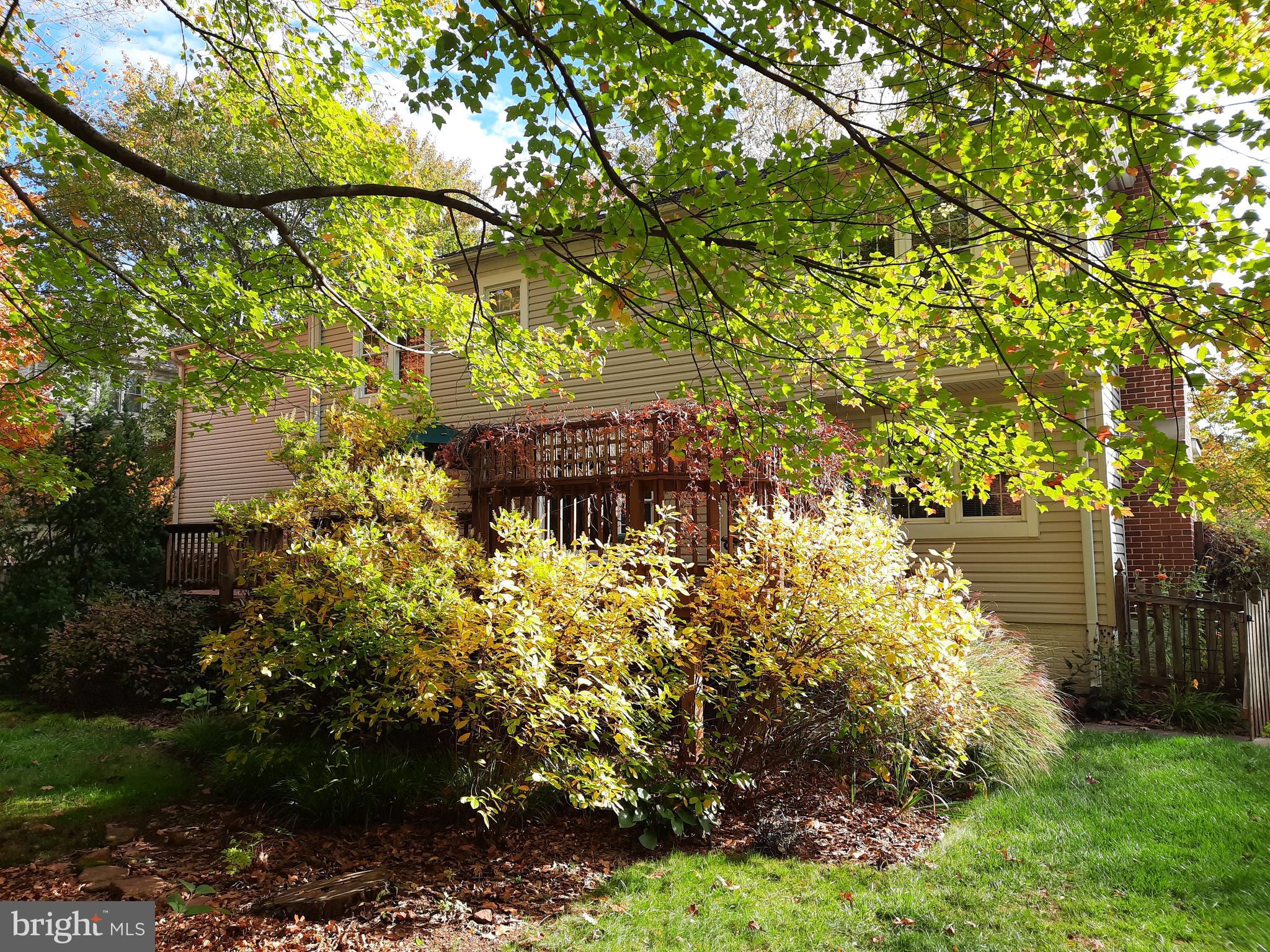 13221 Shady Ridge Lane Fairfax, VA 22033 - Photo 48 of 62 Beautiful Foliage